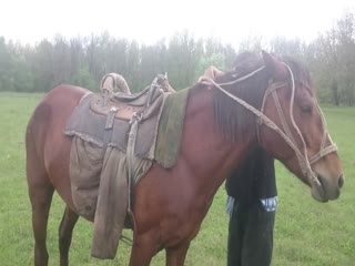 Покатался....