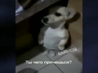 Мы поедем,мы помчимся...
