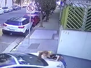 Сбил и увёз