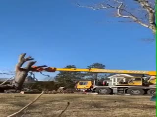 Строительство деревьев в 21-ом веке