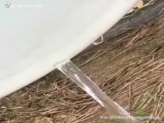 Не то, чем кажется