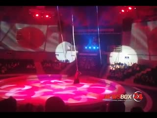 В цирке Владивостока акробатка упала с высоты во время номера