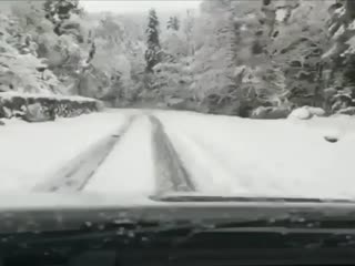 Красивая дорога на Рицу (Абхазия)