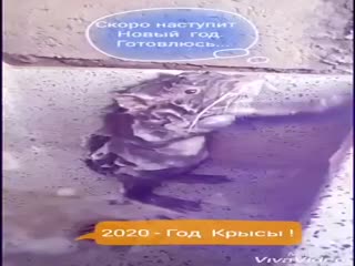 Дождались:)