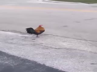 Идут на серьёзный разговор