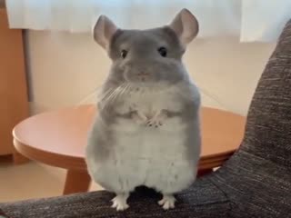 Доброе утро, мужики!