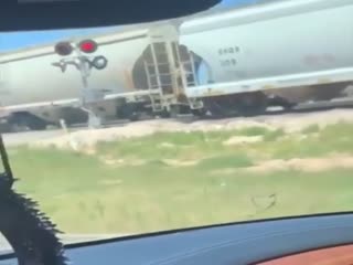 Спешка до добра не доводит