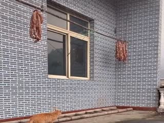 А счастье было так рядом...