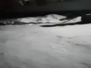 Несовершеннолетняя девочка пожаловалась на педофила в посёлке Горный Щит