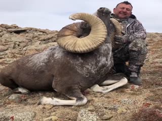 Такого красавца сгубил...