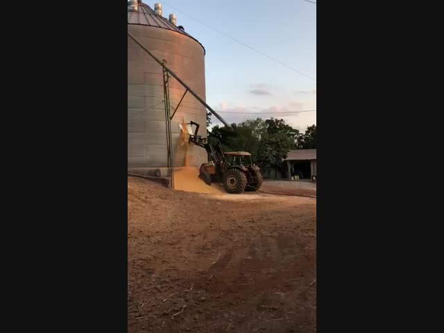 Развалился бак с кукурузой,на элеваторе.
