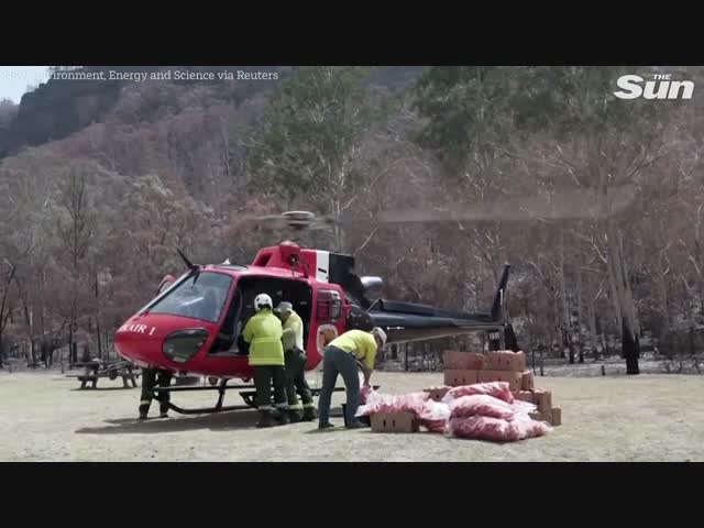 Минутка доброты