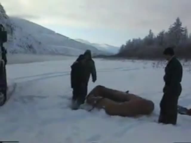 Просто чудом...