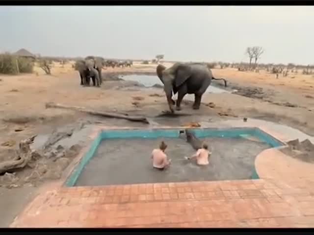 Не мешай, мы вытащим твою кроху 