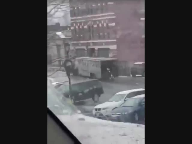 Сбежавшие бурёнки