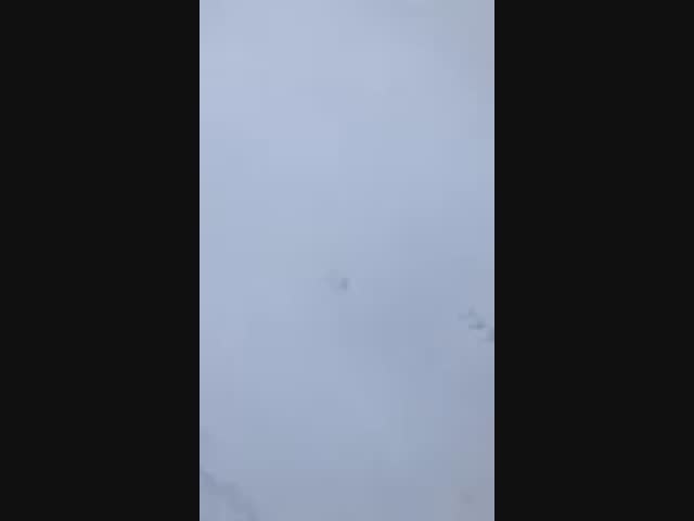 Как мы на охоту с собакой ходим