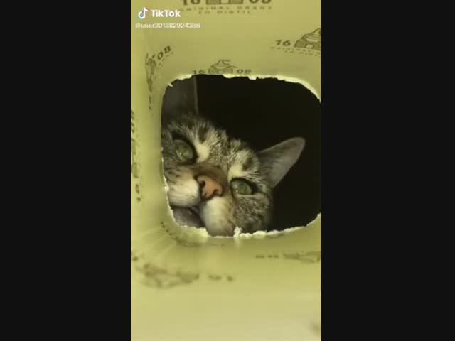 На дне банки