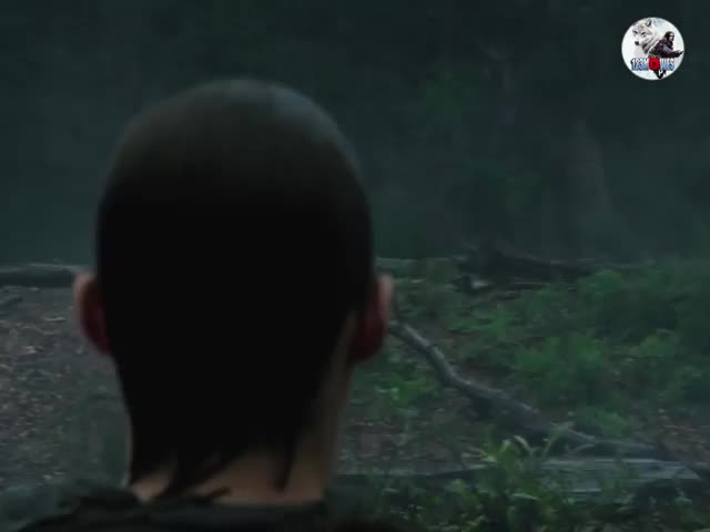 Лучшие сцены из фильма 