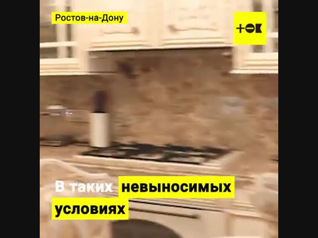 Арестовали министра...