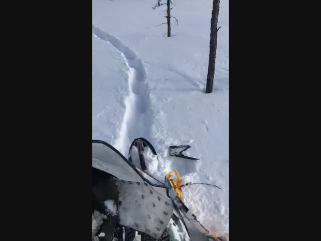 Попался который кусался - 2.