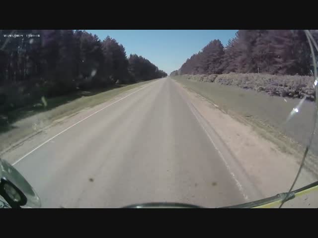 Битва гигантов