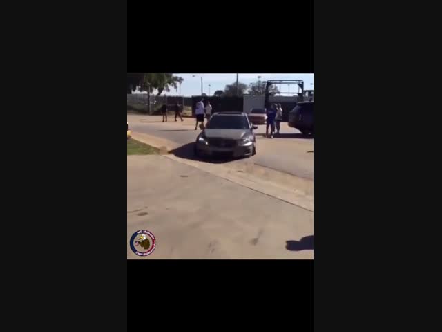 На машине с низкой посадкой далеко не уедешь