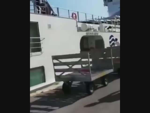 Без тормозов