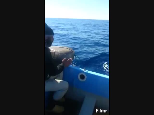 Браконьеры в море.