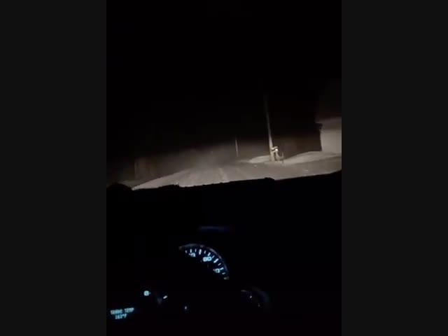 Если включить фары..,