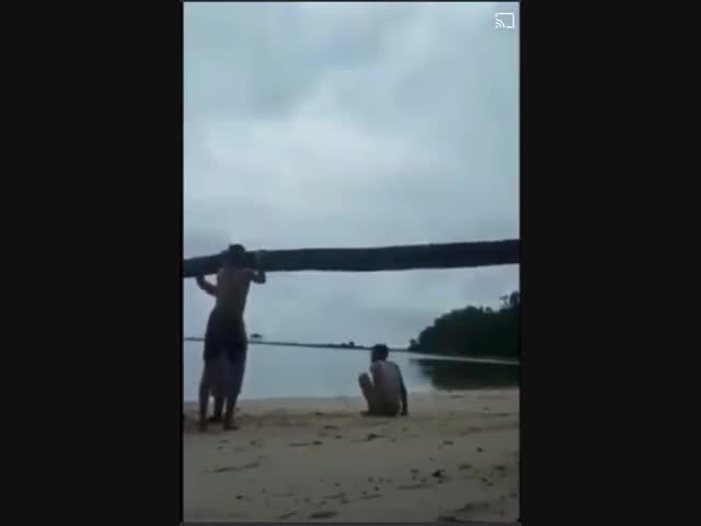 Весёлые развлечения