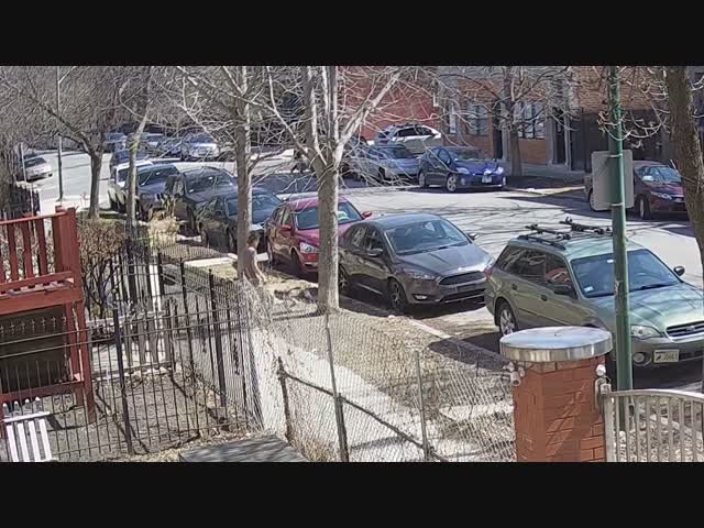 Внезапное нападение питбуля на бегуна .