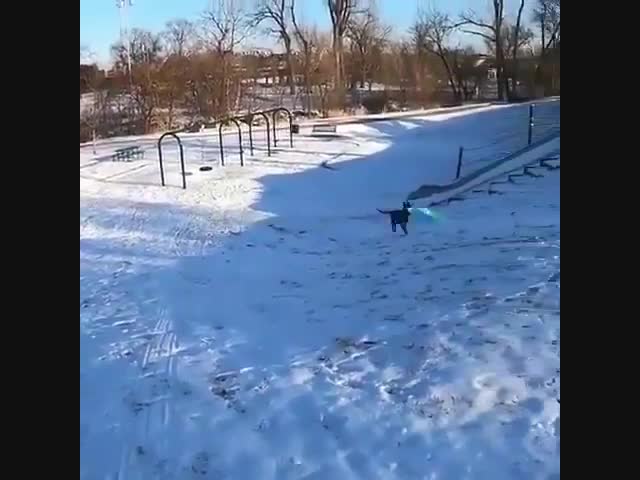 Собакен научился...