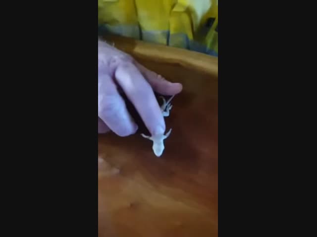 Пить надо меньше!