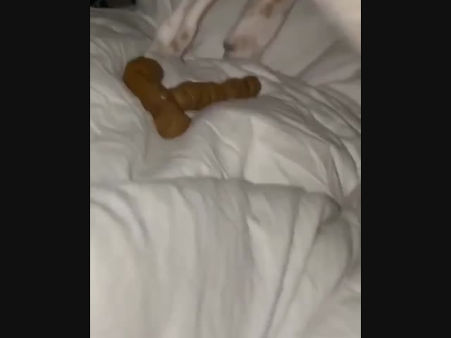 Хороший пёсик ))