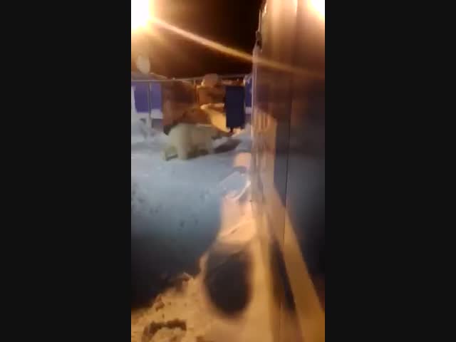 Нежданная встреча