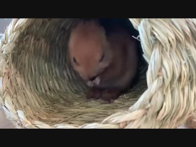 Очень устал