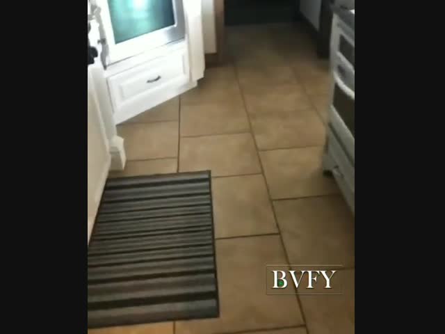 -В туалете спряталась злая белка!