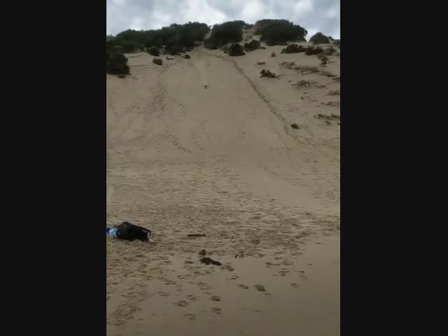 Лихо скатился