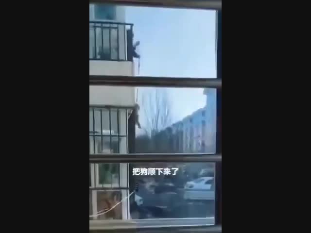 Вирус вирусом, а гулять по расписанию