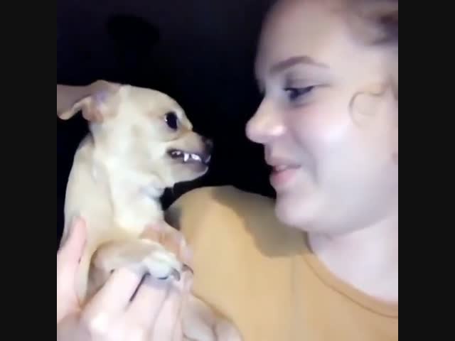 Сказ про любопытную Варвару