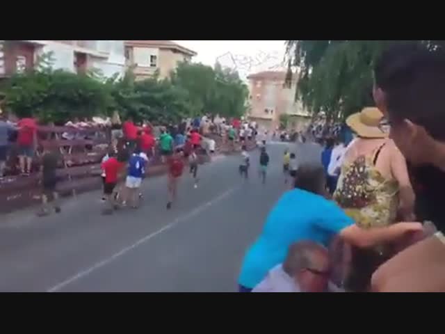 Дуракам закон не писан