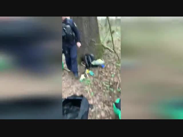 В Германии задержали чеченцев, собирающих черемшу