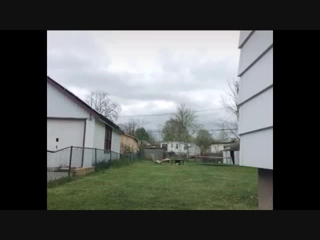 Сам себя нокаутировал