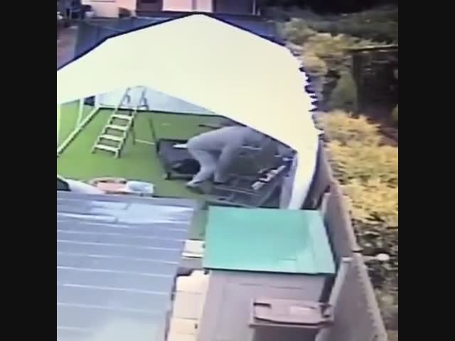 Унесённый ветром