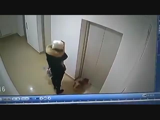 Драма в подъезде.