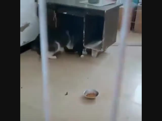 Семейное насилие