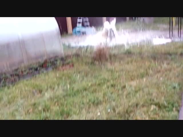 Что если бросить камень в полный пивной кег?