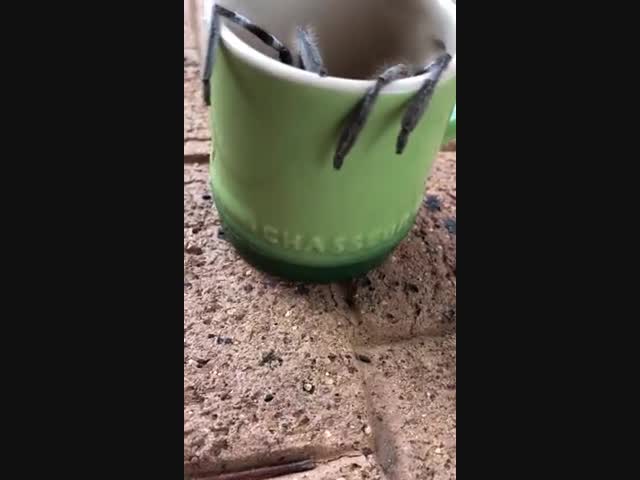 Хотел попить кофе