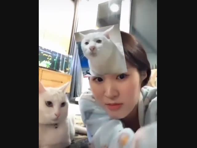 Как выглядит ревность