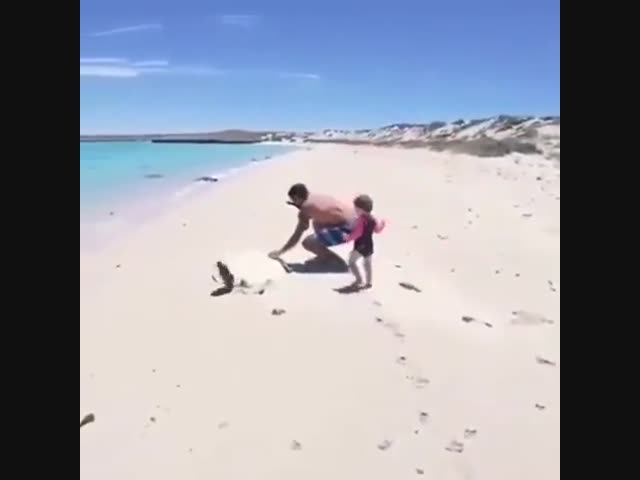 Какие они всё-таки огромные!